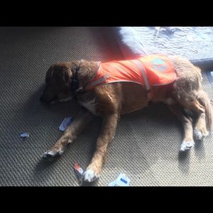 Meet your Posher, Johanna